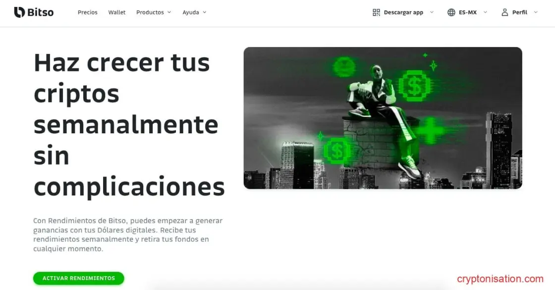 Bitso Rendimentos