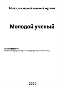 Публикация 2