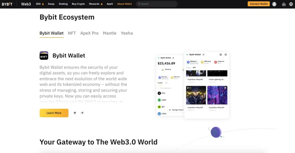 Bybit Wallet