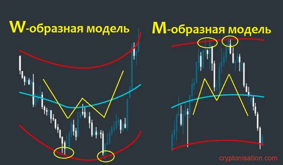 Изображение W- и М-образной модели