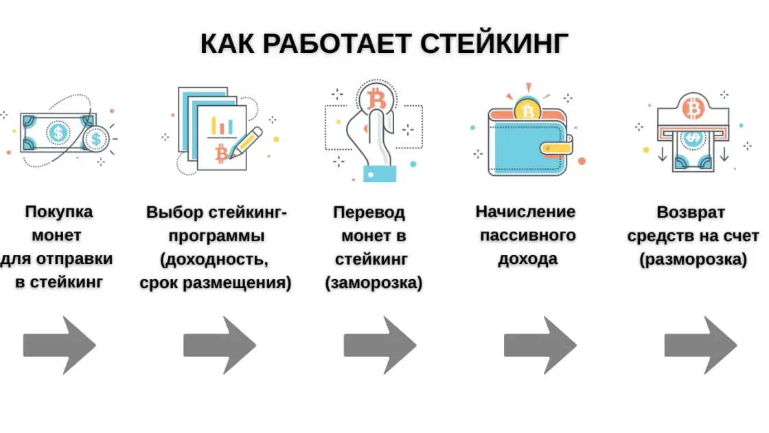 Процесс участия в программе