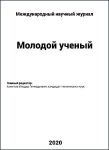 Публикация 2