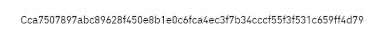 Bitcoin TxID Örneği