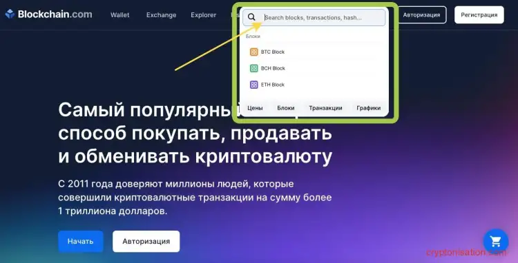 Как проверить Биткоин-транзакцию на bclockchain.com