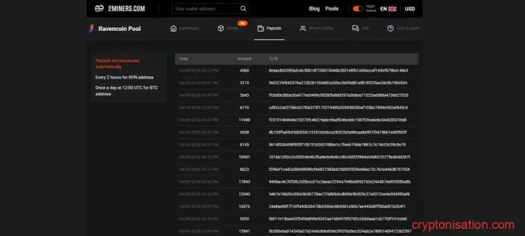 Раздел Payouts в интерфейсе пула RVN