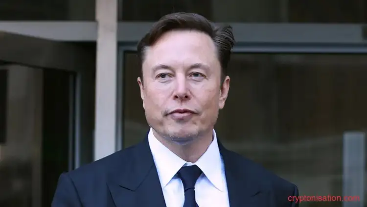 Elon Musk Fotoğrafı