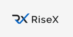 Обменник RiseX: обзор, инструкция, комиссии