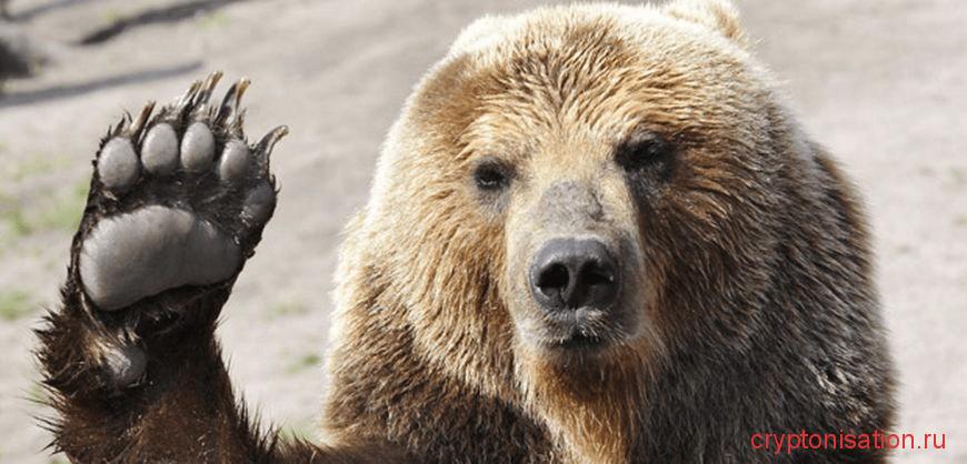  Медведи зарабатывают за счет падения рынка 