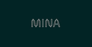 Где и как купить Mina